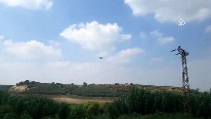 Hint keneviri ekili alan drone ile tespit edildi - ADANA