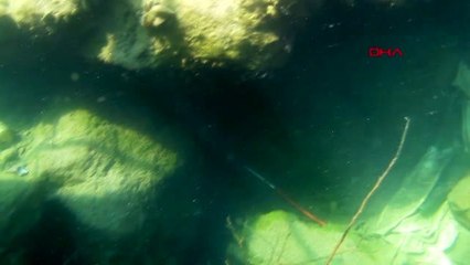 Zonguldak Dalgıçlar, denizdeki kirliliği gün yüzüne çıkardı