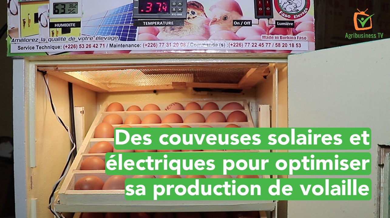 Burkina Faso: Solar and electric incubators to optimise poultry production