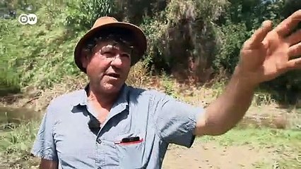 Spain: Concerns about toxic copper mining | Focus on Europe