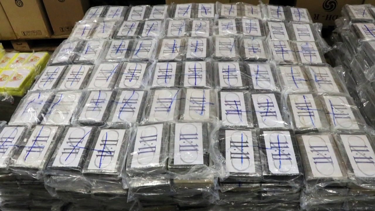 Kokain für eine Milliarde Euro in Hamburger Hafen gefunden