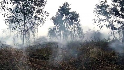 Indonesian students forced to wear masks during ‘haze’ crisis