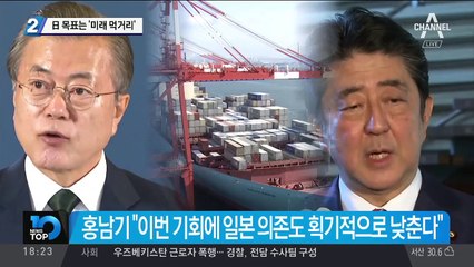 日 목표는 ‘미래 먹거리’