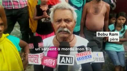 Dent pour dent : un homme mort après avoir mordu un serpent