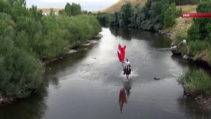 Arap atları yarışlara böyle hazırlanıyor