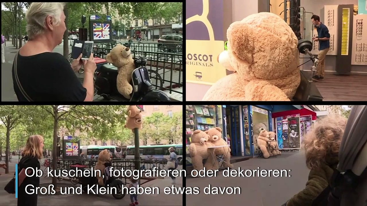 Die kuscheligsten Einwohner von Paris