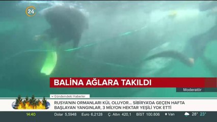Yoğun turist çekiyor