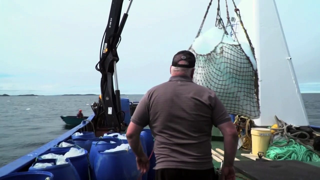 Klimawandel lässt bei Eisberg-Jägern die Kassen klingeln