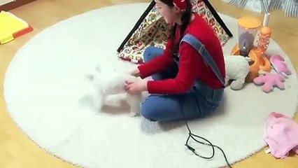 산삼동출장안마 -후불100%ョO7OV7333V9649｛카톡VV23}  산삼동전지역출장안마 산삼동오피걸 산삼동출장마사지 산삼동안마 산삼동출장마사지 산삼동콜걸샵≧◓≚