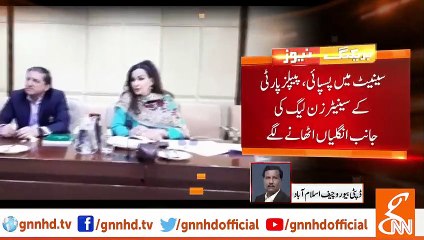 سینیٹ میں پسپائی، پیپلز پارٹی کے سینیٹرز ن لیگ کی جانب انگلیاں اٹھانے لگے