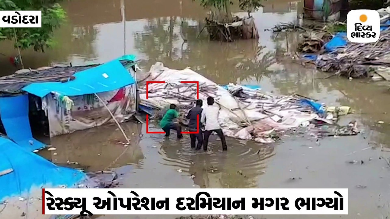રેસ્ક્યૂ ઓપરેશનમાં મગરના રેસ્ક્યૂ દરમિયાન યુવાન ફંગાળાયો, મગરનું મોઢું બાંધેલુ હોવાથી બચાવ થયો