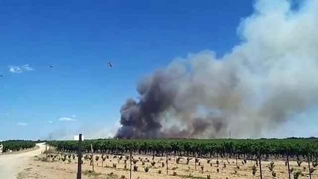 Générac : reprise de l'incendie dans les Costières vendredi 2 août