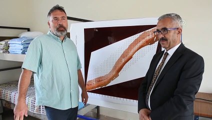 Kurutlu'da 2 bine yakın hayvan fosili bulundu - KIRŞEHİR