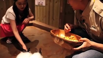 울진호텔출장∮울진출장안마 -후불100%ョØ7ØM7575M0069｛카톡CC6969｝ 울진전지역출장안마 울진오피걸 울진출장마사지 울진출장안마 울진출장마사지 울진콜걸샵◭㍎∷