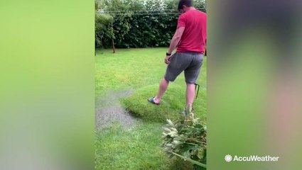 Bizarre lawn blister appears in couple's garden