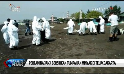 Tumpahan Minyak Cemari Teluk Jakarta, Pertamina Janji Bersihkan Selama 6 Bulan
