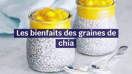 Les bienfaits des graines de chia