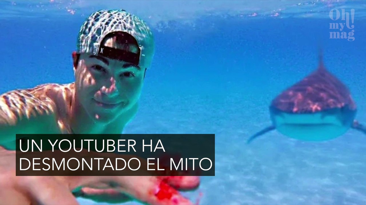 Un youtuber prueba si los tiburones huelen realmente la sangre