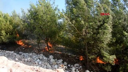 İZMİR Buca'da yanan samanların alevi ormana sıçradı -AKTUEL