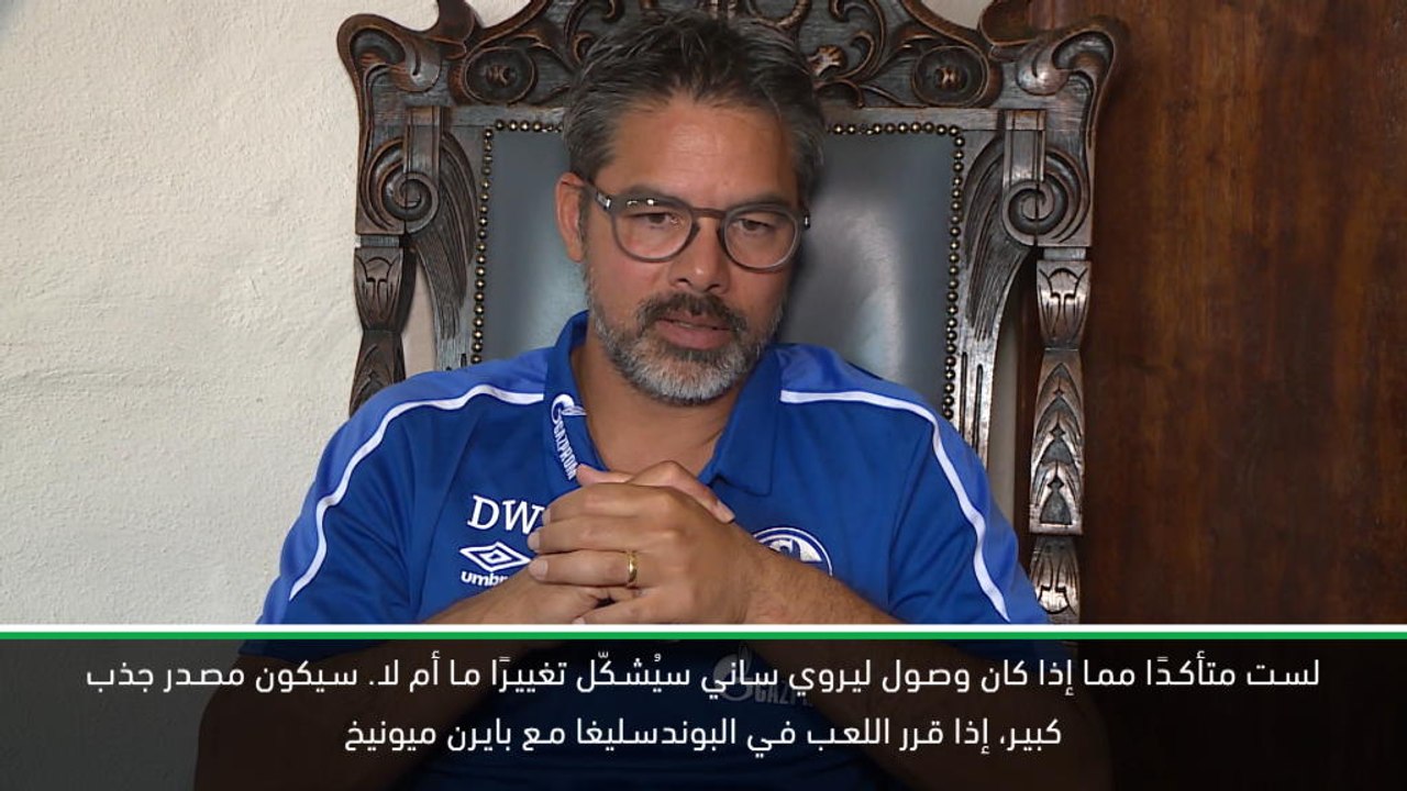 كرة قدم: الدوري الممتاز: وصول ساني لا يضفي أيّ جاذبية على البوندسليغا- فاغنر