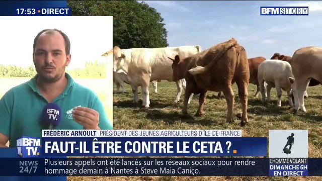 CETA: Les permanences saccagées ? C'est un cri de désespoir , pour le porte-parole des jeunes agriculteurs