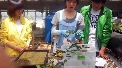 삼양출장안마 -후불100%ョOiON2659N1768｛카톡KP93｝  삼양전지역출장안마 삼양오피걸 삼양출장마사지 삼양안마 삼양출장마사지 삼양콜걸샵⻋≓⻠