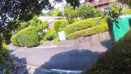 EDR August #2 2019 Suspicious Vehicles and People Passed By My Place