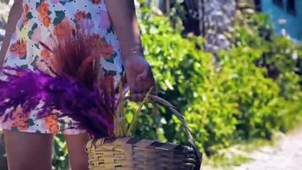 Şenay Lambaoğlu - Aman Avcı