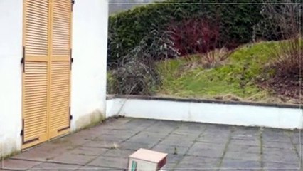 A louer - Maison/villa - St Benoit La Chipotte (88700) - 6 pièces