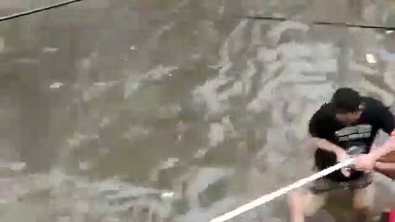 Sacando cocodrilos de las calles inundadas de Vadodara, India.