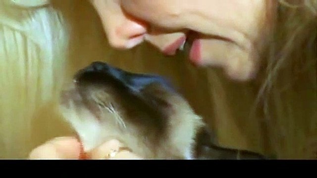 강진출장샵추천∮강진출장안마 -후불100%ョOiOX2997X5327｛카톡LTE13｝ 강진전지역출장안마 강진오피걸 강진출장마사지 강진출장안마 강진출장마사지 강진콜걸샵◗⺟め