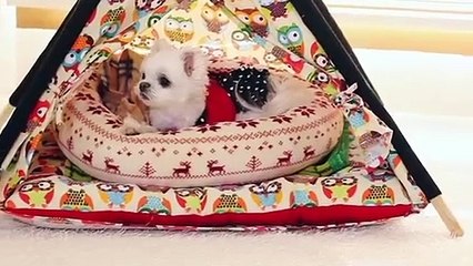 송정3040애인찾기∮송정출장안마 -후불100%ョØ1ØZ2659Z1768｛카톡KP93｝ 송정전지역출장안마 송정오피걸 송정출장마사지 송정출장안마 송정출장마사지 송정콜걸샵∵㍇⊒