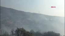 Aydın Yenipazar ilçesinde korkutan orman yangını