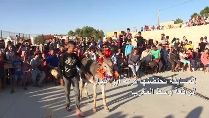 أُتان تتوج ملكة جمال الحمير للمرة الأولى في المغرب