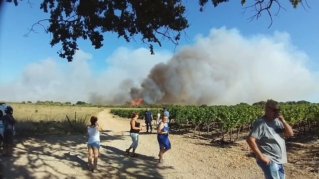 Incendie à Vauvert : dernier largage avant la tombée de la nuit
