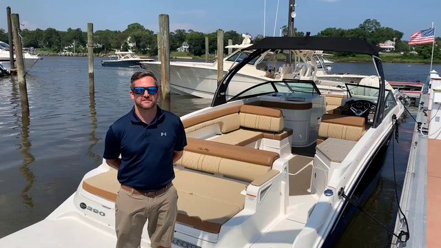 2015 Sea Ray 290 Sundeck For Sale at MarineMax Brick