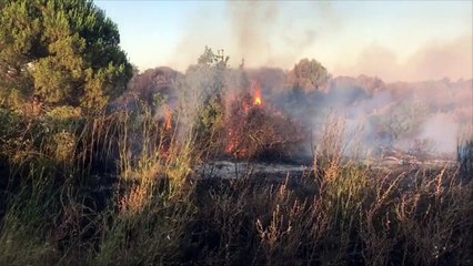 Incendies dans le Gard : nos images du feu de Générac qui a parcouru plus de 150 hectares
