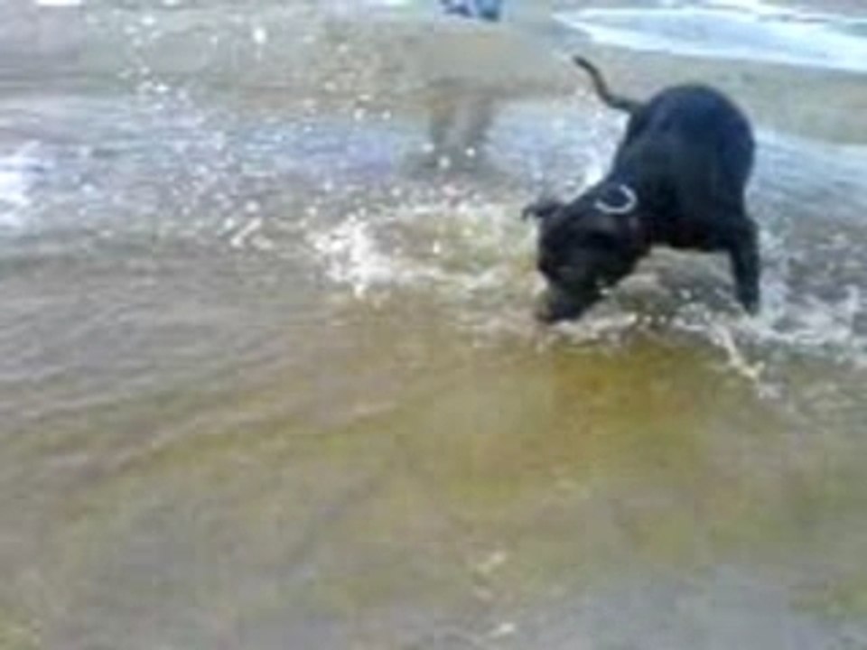 Aron la tête sous l eau