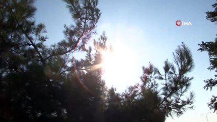 Saman yüklü kamyon devrildi, alev alan samanlar ormanı yaktı