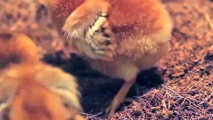 경기출장안마 -후불100%ョOiOX7685X6221｛카톡USA51｝  경기전지역출장안마 경기오피걸 경기출장마사지 경기안마 경기출장마사지 경기콜걸샵◞≿≺