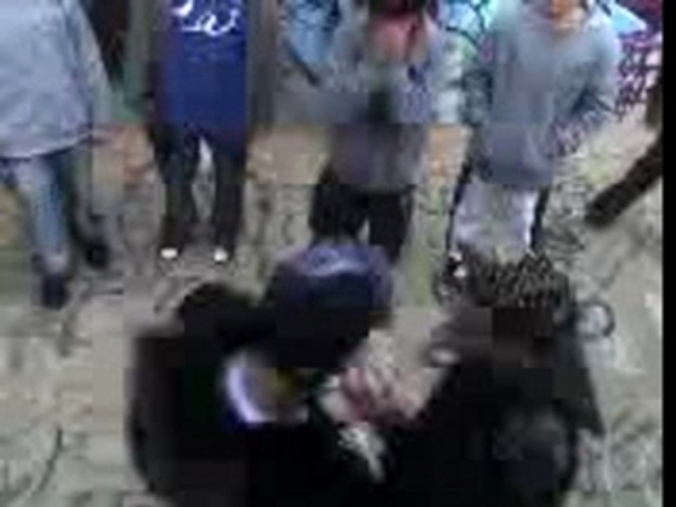 batalla de gallos