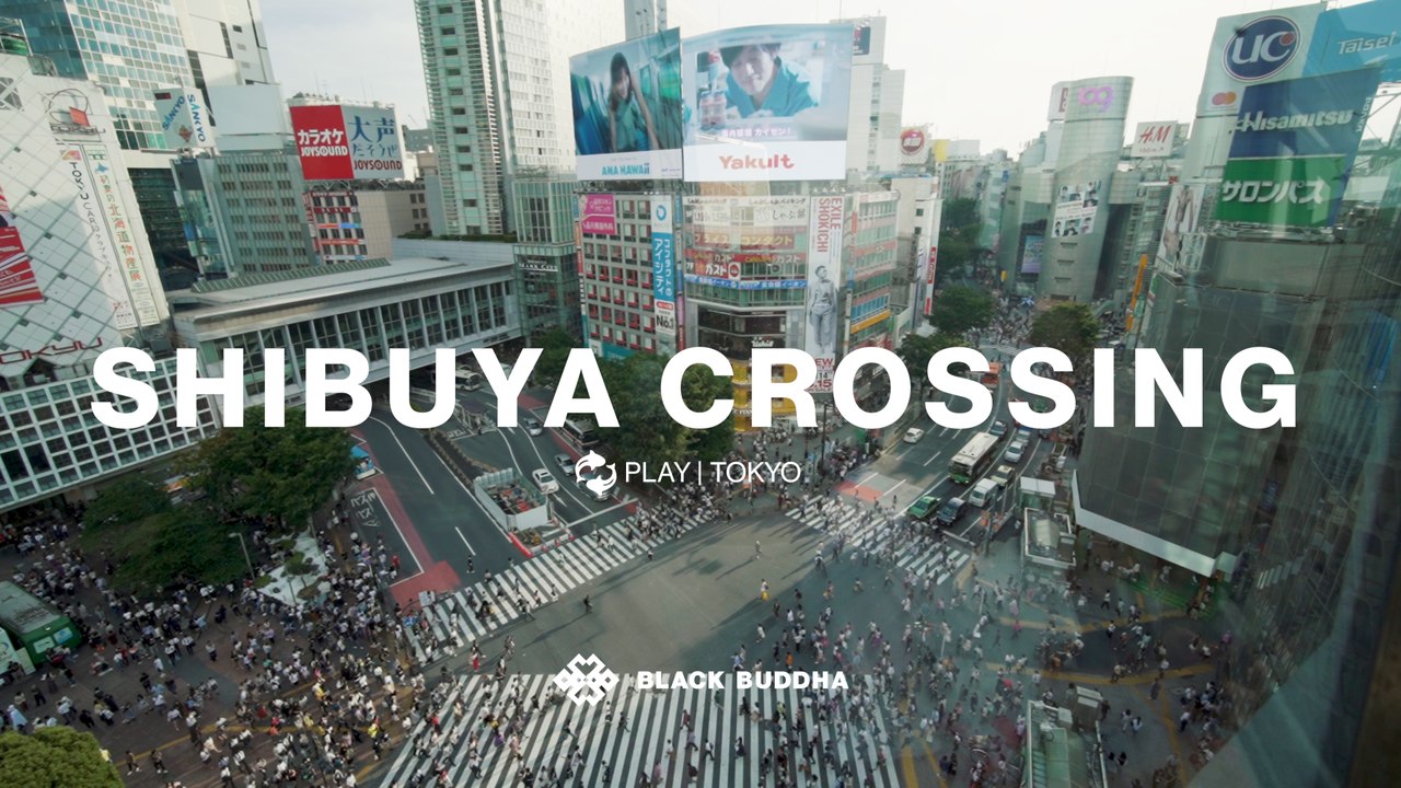 Welcome to the World's Wildest Intersection