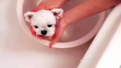 군위조건만남추천∮군위출장안마 -후불100%ョOiOX2997X5327｛카톡USA59｝ 군위전지역출장안마 군위오피걸 군위출장마사지 군위출장안마 군위출장마사지 군위콜걸샵⻖ひ≺