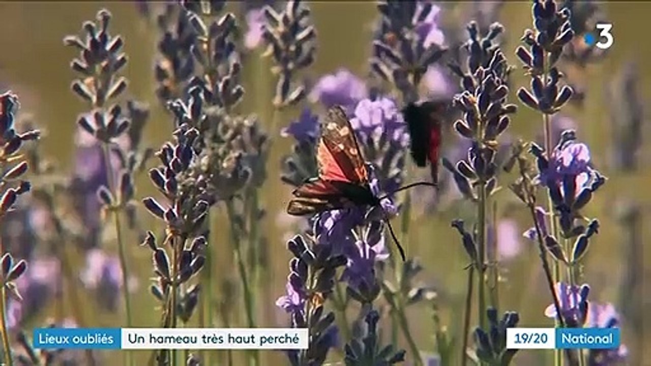 Alpes-de-Haute-Provence : le Hameau du Poil, un village déserté
