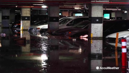Record rainfall floods downtown St Petersburg, Florida