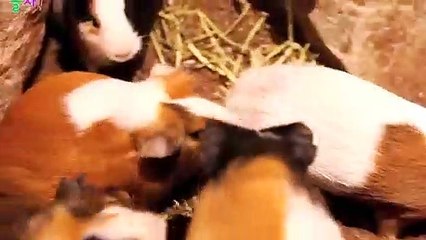 과천출장아가씨가격∮과천출장안마 -후불100%ョØ1ØZ7467Z4367｛카톡XI74｝ 과천전지역출장안마 과천오피걸 과천출장마사지 과천출장안마 과천출장마사지 과천콜걸샵㍋㌩⊄