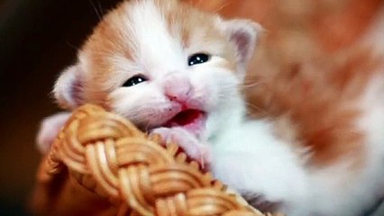 중랑출장안마 -후불100%ョOiON6622N4421｛카톡EM85｝  중랑전지역출장안마 중랑오피걸 중랑출장마사지 중랑안마 중랑출장마사지 중랑콜걸샵㌫㍖∦