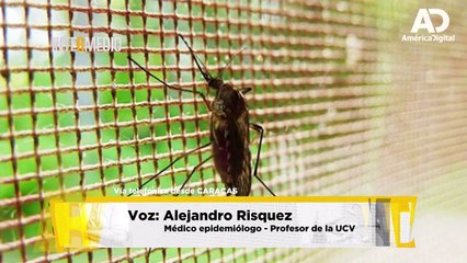 ¿Hay una epidemia de malaria en Venezuela?