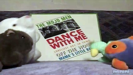 Wild Record Collection #6