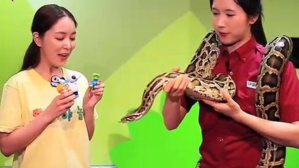 정읍출장안마 -후불100%ョØ1ØM7685M6221｛카톡MGM1472｝ 정읍전지역출장안마 정읍오피걸 정읍출장마사지 정읍안마 정읍출장마사지 정읍콜걸샵と≗ず